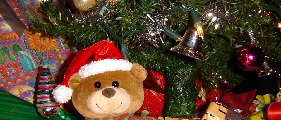 ted-the-bear-christmas-gift-960x410